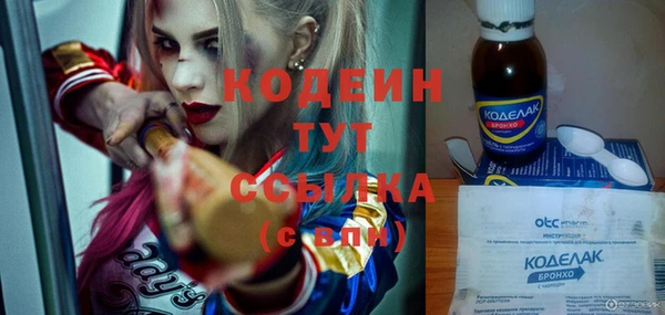 ешки Карпинск